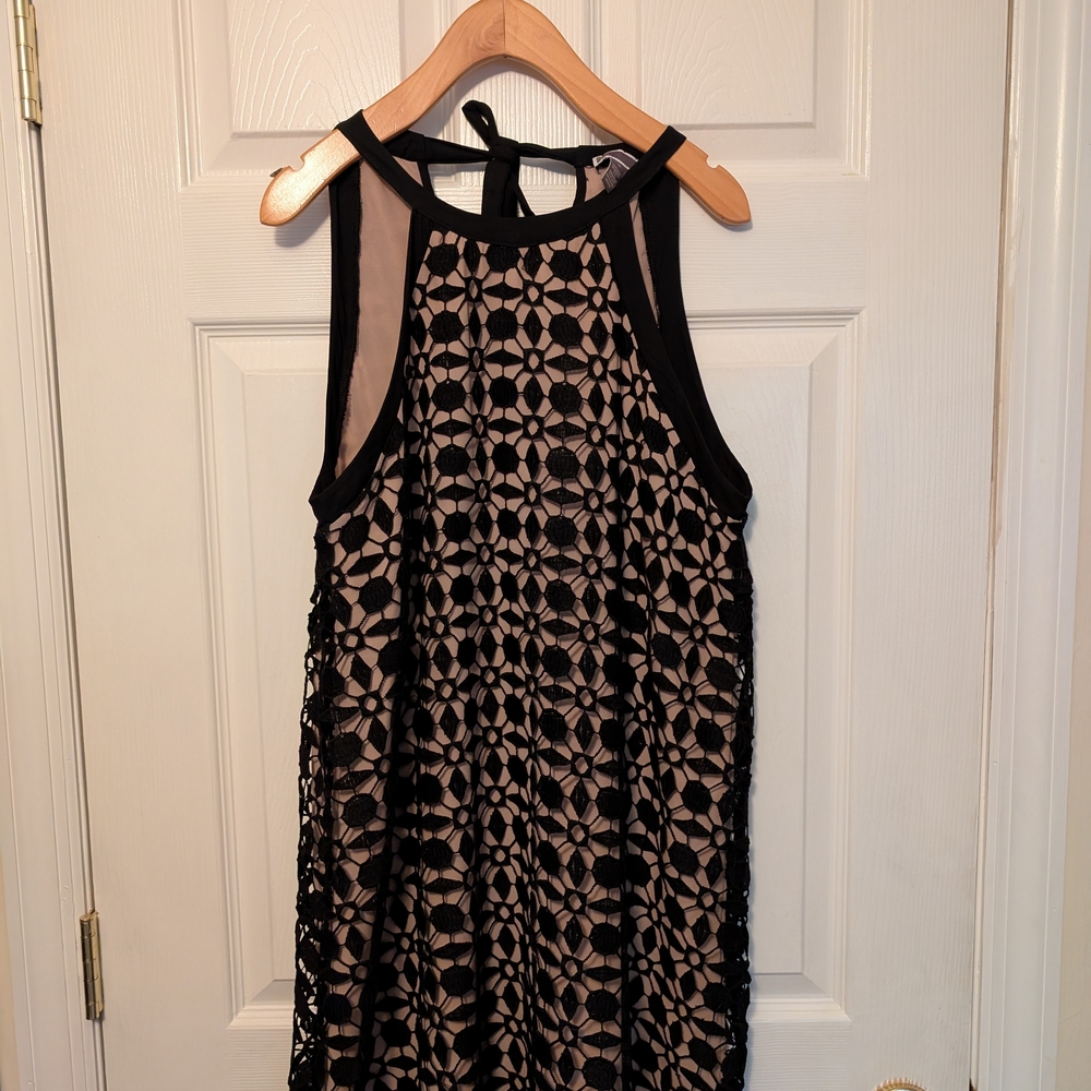 Black and Beige Lace Dress Trapeze